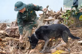 莱州省边防部队官兵和搜救犬坚守现场搜寻失踪人员