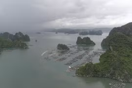 广宁省拜子龙湾旅游发展潜力巨大，期待实现突破性增长