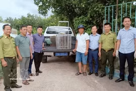 广治省职能部门连续接收濒危野生动物。图自越通社