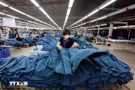 越南企业实现出口市场多样化。图自越通社