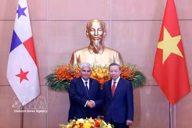 越共中央总书记、国家主席苏林与巴拿马总统穆利诺举行会谈。图自越通社
