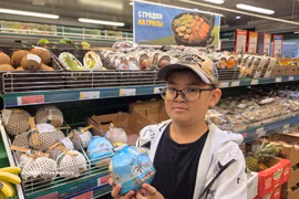 农产品出口在经济中起着作用日益重要，年均出口额达数百亿美元。图自越通社