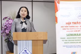 ITPC副主任胡氏鹃发表讲话。图自越通社