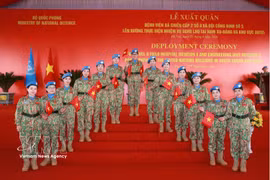 八号二级野战医院和五号工兵队出征仪式。图自越通社