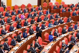 出席越共第十三届中央委员会第十五次全体会议的代表。图自越通社