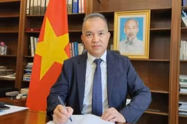 越南驻科威特大使阮德胜。图自越通社