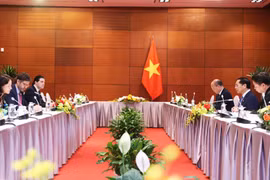 越南政府副总理兼外交部部长裴青山会见哥伦比亚外交部主管多边事务的副部长毛里西奥·哈拉米略。图自越通社