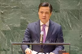 越南常驻联合国代表团团长邓黄江大使。图自越通社
