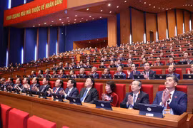 出席越共十四大开幕式的代表。图自越通社