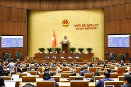 越南第十五届国会第十次会议场景。图自越通社