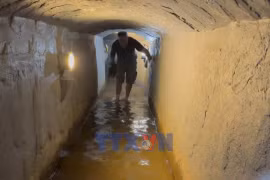奇英地道——独具魅力的红色旅游目的地