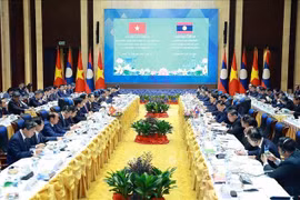 越老政府间委员会第48次会议场景。图自越通社