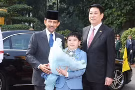 文莱达鲁萨兰国苏丹哈吉·哈桑纳尔·博尔基亚对越南进行国事访问