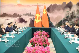 不断深化越中党际合作