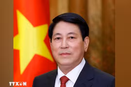越南国家主席梁强。图自越通社