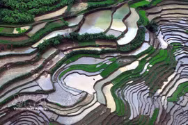 山罗：芒罗乡梯田迎来灌水季