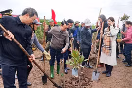 越南自然资源与环境部部长杜德维同太平省人民委员会领导人和代表民在太瑞湿地自然保护区植树。图自Vietnam+