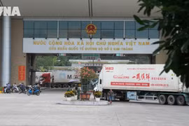  越南农产品对华出口按下“加速键”