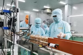 从4月1日起越南启动2025年全国企业调查