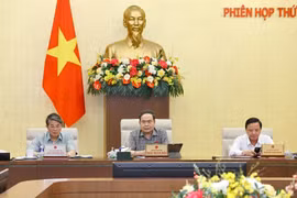 国会主席陈青敏发表讲话。图自越通社