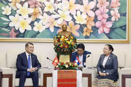 越共中央政治局委员、中央书记处书记、中央组织部部长黎明兴在老挝人民革命党中央委员会驻地与老挝人民革命党中央政治局委员、中央书记处书记、中央组织部部长西赛•乐迪蒙颂举行工作会谈。图自越通社