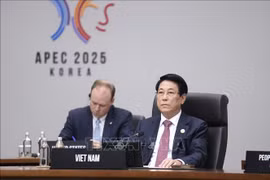 越南国家主席梁强出席亚太经合组织（APEC）第三十二次领导人会议第二阶段会议。图自越通社