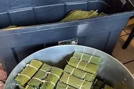 驻南非大使馆馆员及其配偶和相关机构的成员们又聚在一起包粽子。图自越通社