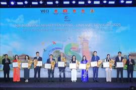 越南政府副总理胡德福和越南工商联合会主席、2025年CSI计划指导委员会主任胡士雄向各企业代表颁发许可证。图自越通社