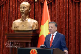 越共中央总书记、国家主席苏林。图自越通社