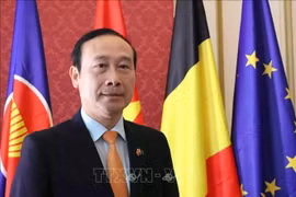 越南驻比利时兼驻卢森堡大使、越南驻欧盟代表团团长阮文草。图自越通社