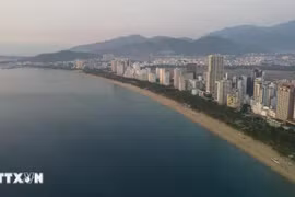 芽庄海滩。图自越通社