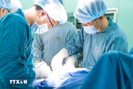 越南医疗旅游因胎儿宫内心脏手术成功迎来积极信号 。图自越通社