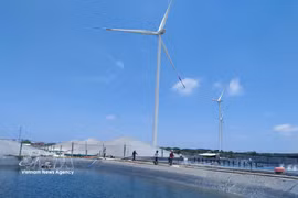 永隆省正在开发高科技虾类养殖和风电项目。图自越通社