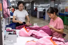 太原省TNG服装公司工人正在缝制出口欧盟市场的服装。图自越通社