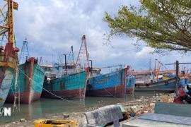 解除IUU“黄牌”警告：坚决处理违规渔船。图自越通社