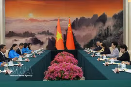 越共中央委员、越南祖国阵线中央委员会副主席、越南妇女联合会主席黎氏水与中华全国妇女联合会主席谭贻琴举行工作座谈。图自越通社