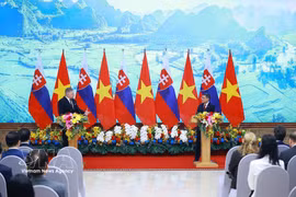 越斯两国总理共同会见媒体。图自越通社