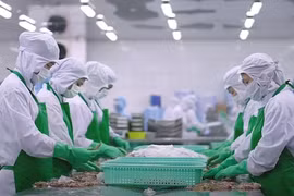 与2024年相比，2025年农林水产品出口前景亮眼。图自越通社