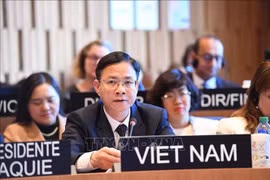越南外交部副部长吴黎文发表讲话。图自越通社