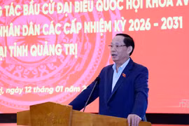 越南国会副主席、国家选举委员会委员陈光方发表讲话。图自越通社