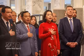 越南国会副主席阮氏清和各位代表出席越南国庆81周年暨越瑞建交55周年的纪念典礼。图自越通社