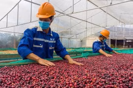 越南新订单数量反弹回升。图自越通社