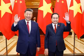 越南国会主席陈青敏会见中共中央总书记，国家主席习近平