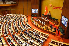 2月19日上午，在第十五届国会第九次非常规会议上，全部459名与会代表投赞成票（占国会代表总数的96.03%）通过了国会关于河内、胡志明市城铁网络系统发展特殊机制、政策的决议。图自越通社