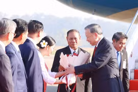 越共中央总书记苏林率领越南高级代表团抵达老挝首都万象瓦岱国际机场，开始对老挝进行国事访问。图自越通社
