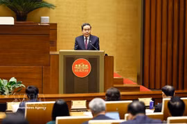 各友好议员小组为议会合作搭建桥梁