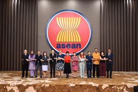 出席东盟与英国联合合作委员会第四次会议的代表合影。图自越通社