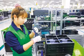 三星希望通过这笔投资资金将越南变成三星全球新一代屏幕生产制造的“根据地”。图自baodautu.vn