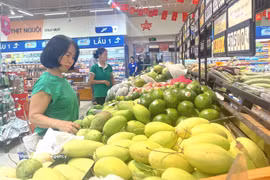 2026年5月越南CPI指数环比上涨0.29%。图自越通社