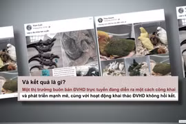 ENV推出了宣传片《脸书，请觉醒！》的屏幕截图。